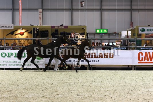 PAN CARRE_MILANO_2010_SS3_8341.jpg